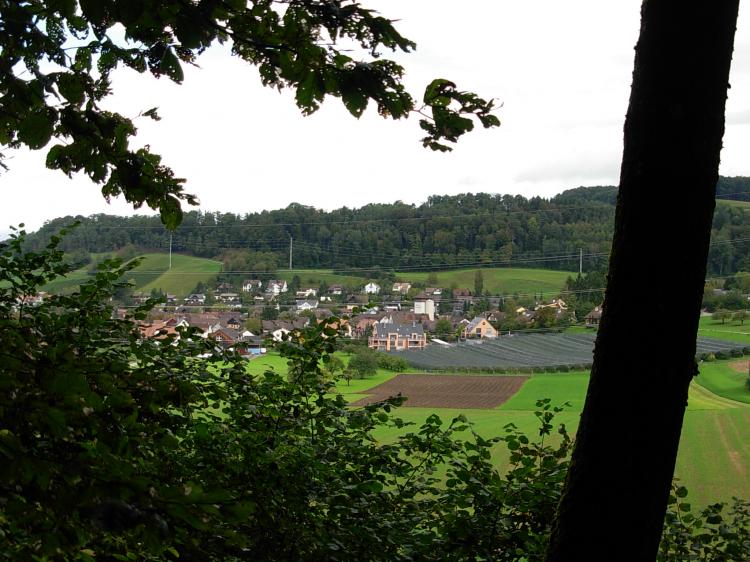Blick vom Wald aufs Dorf