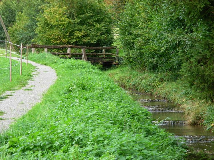 Wildbach mit Holzbrücke