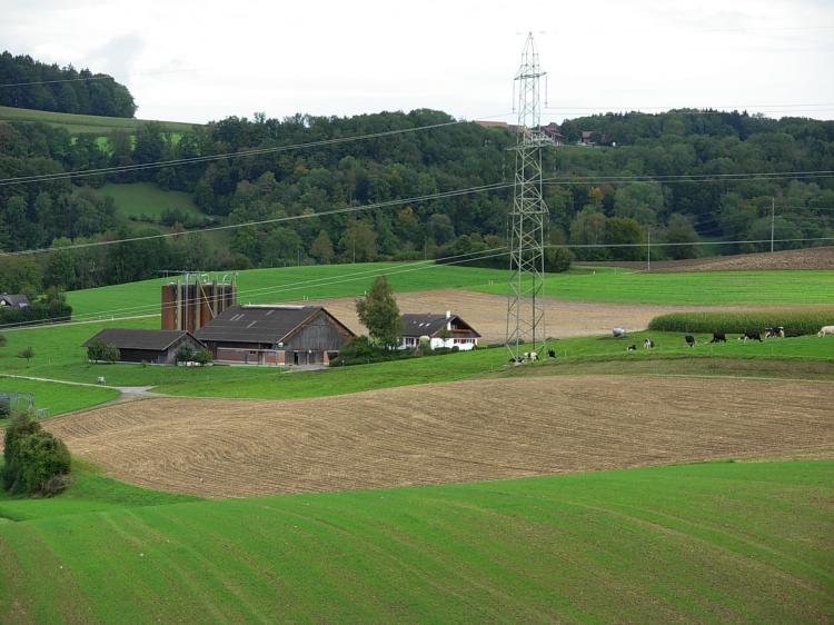 Riethof2