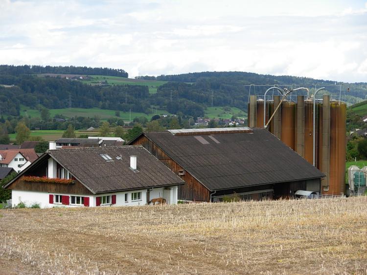 Riethof2