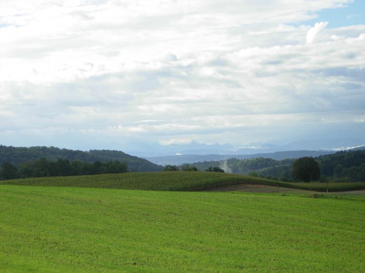 Weitsicht