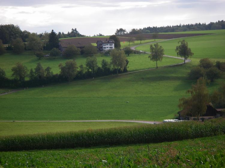 Sicht auf Althaus2