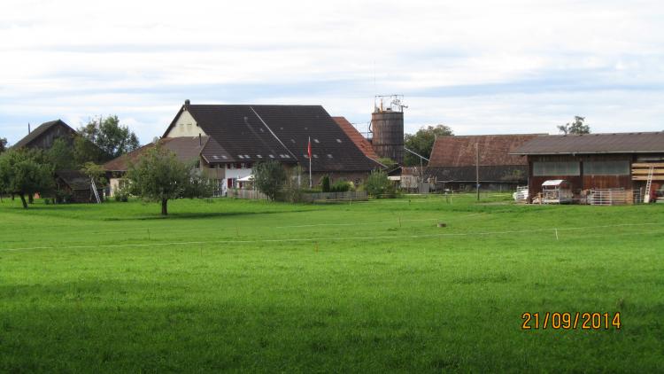 Rothenfluh4