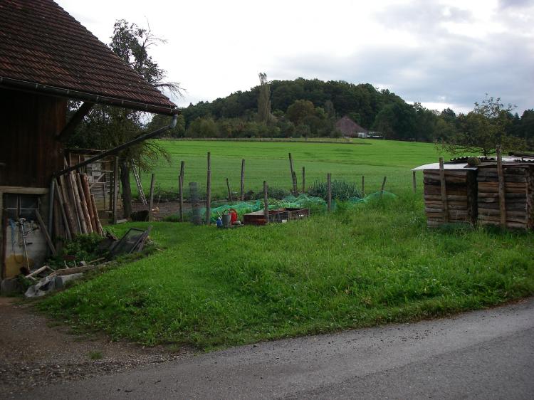 Sicht von Trinenmoos Richtung Paradies