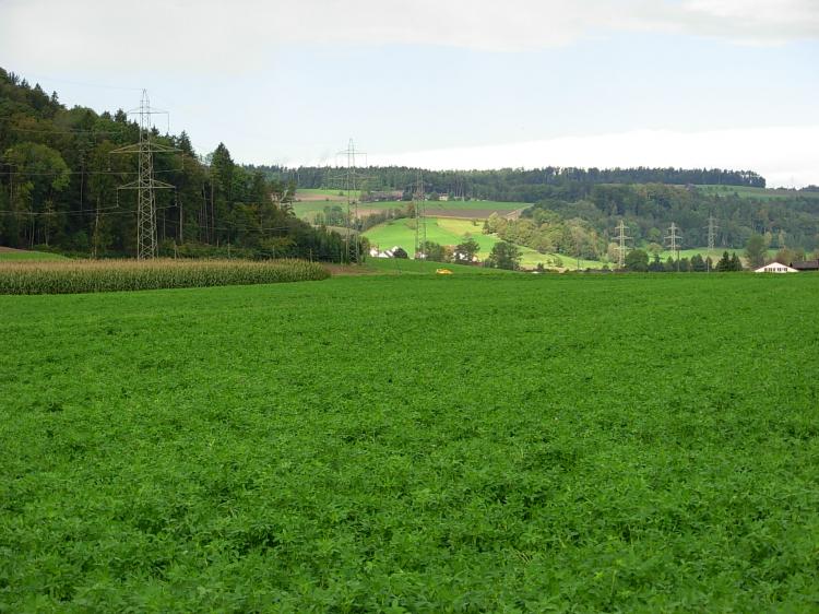 Weitsicht12