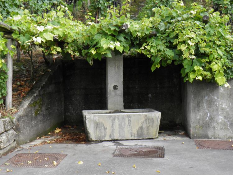 Brunnen Rebbergstrasse