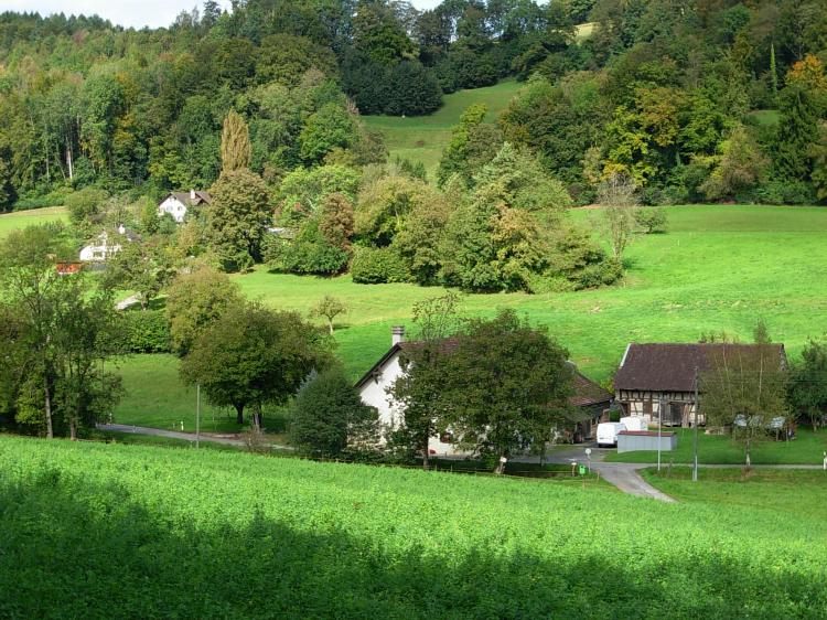 Blick auf Hausen