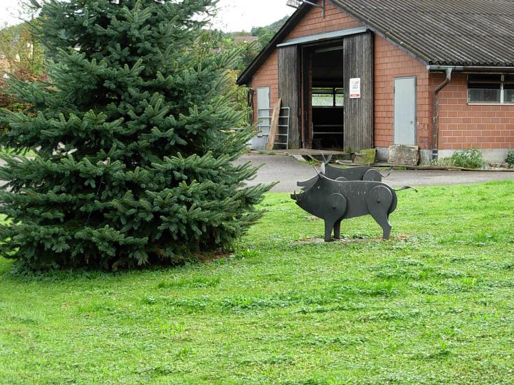 Wildschweindeko