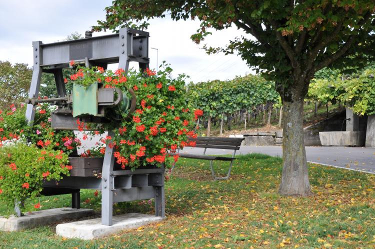 Weinpresse und Brunnen Rebbergstrasse
