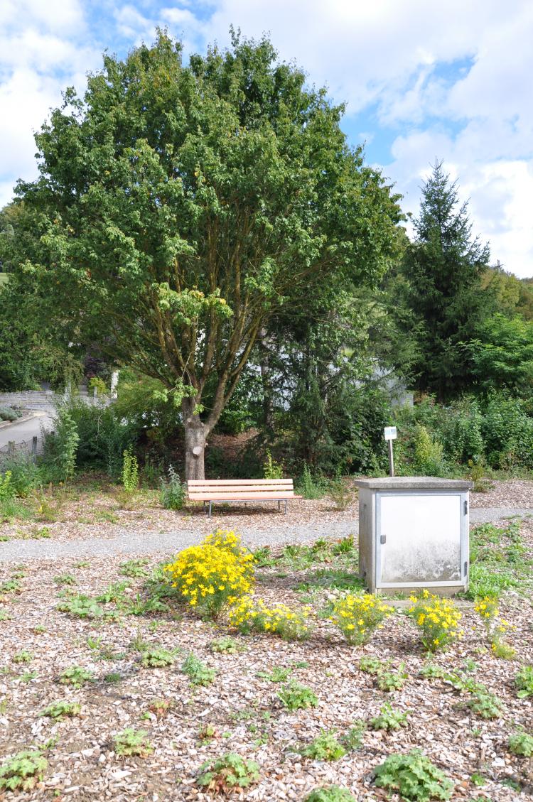 Platz Rebbergstrasse