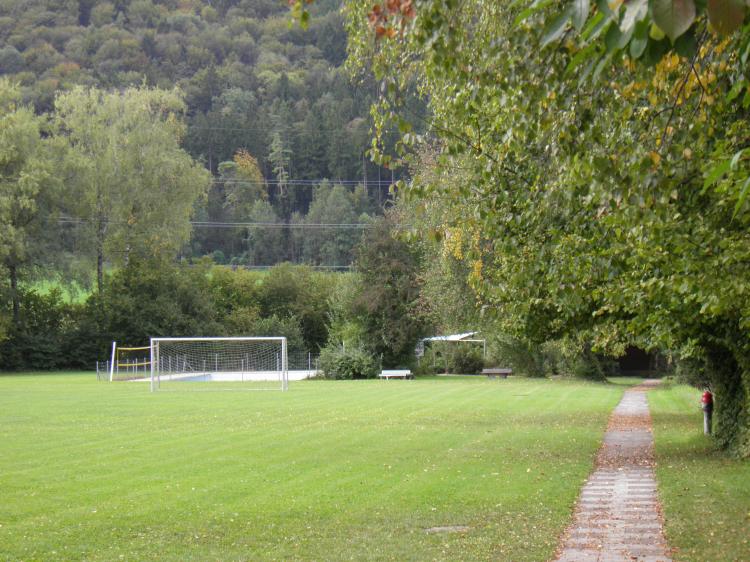 Fussballwiese