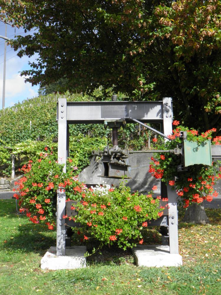 Weinpresse Rebbaugenossenschaft Oberembrach