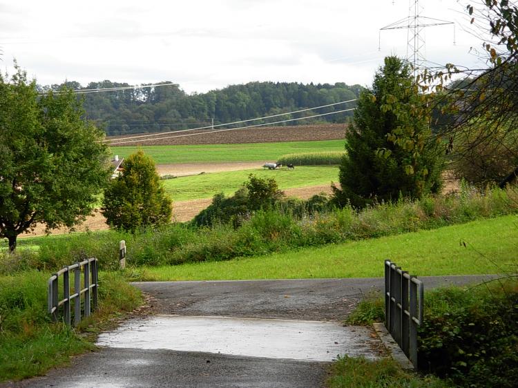 Brücke zum Schnitzelschopf