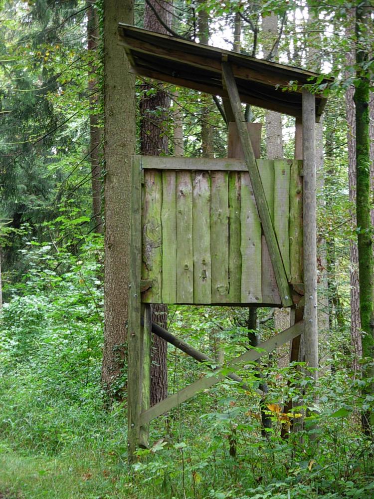 Hochsitz2