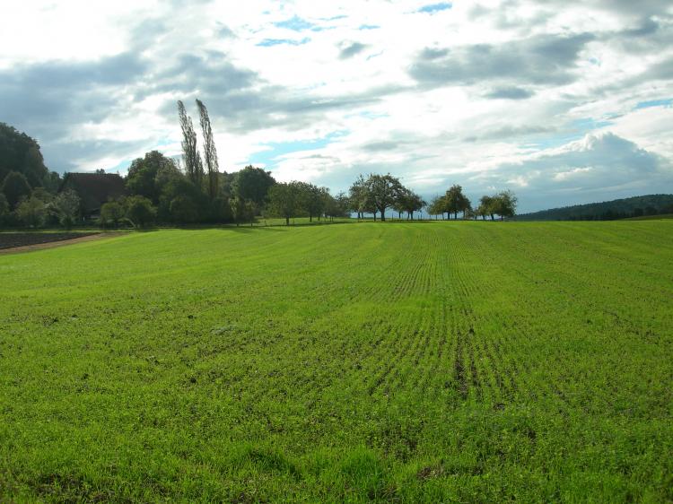 Weitsicht7