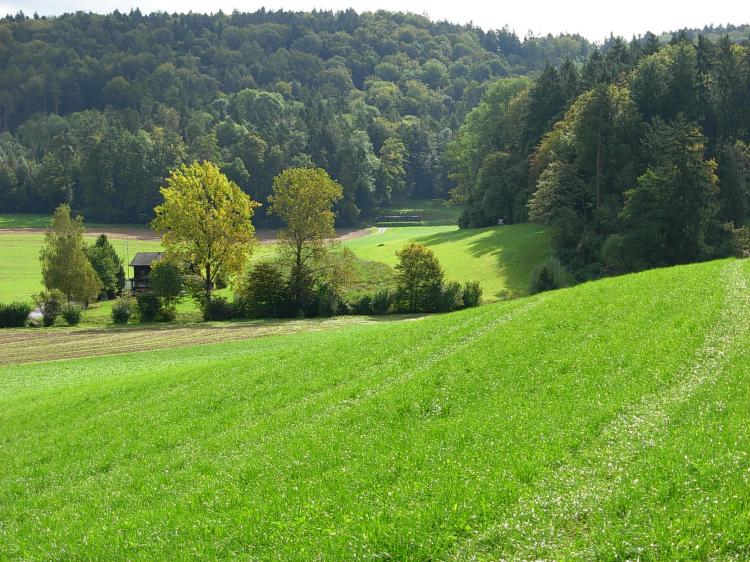 Wiese mit Sicht zum Schützenhaus