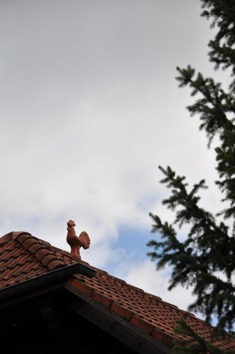 Hahn auf Hausdach