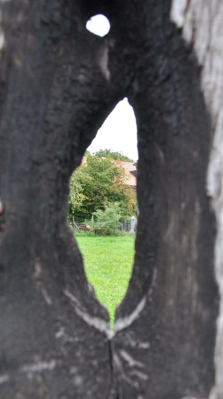 Blick durch Loch im Zaunpfahl