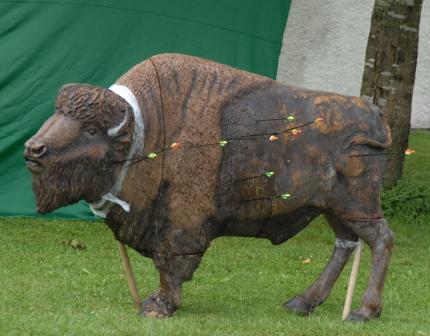 Bogenschiessen auf einen Bison