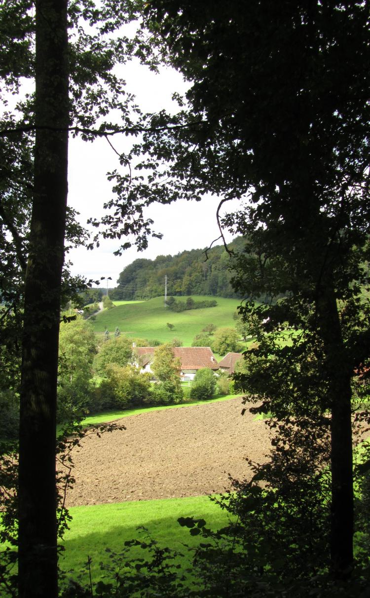 Weitsicht4