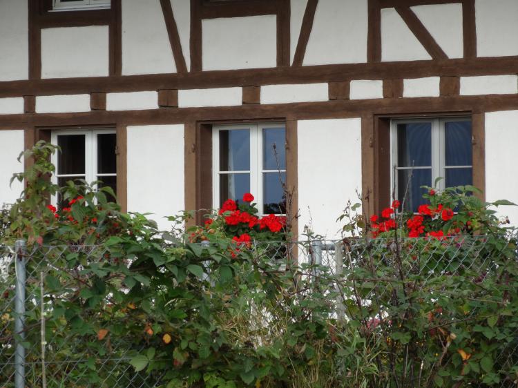 Riegelfassade mit Geranien2