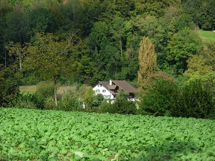 Sonnenberg2