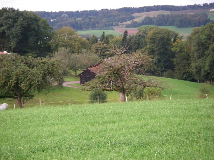Weitsicht5