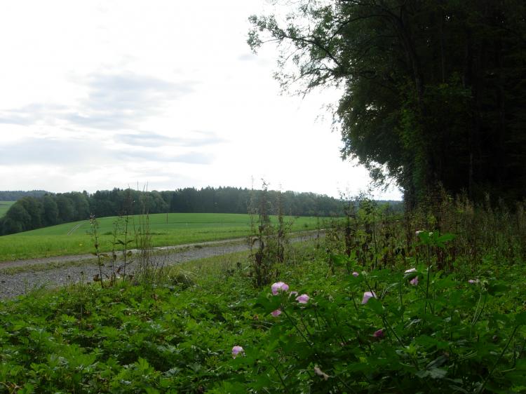 Flurweg