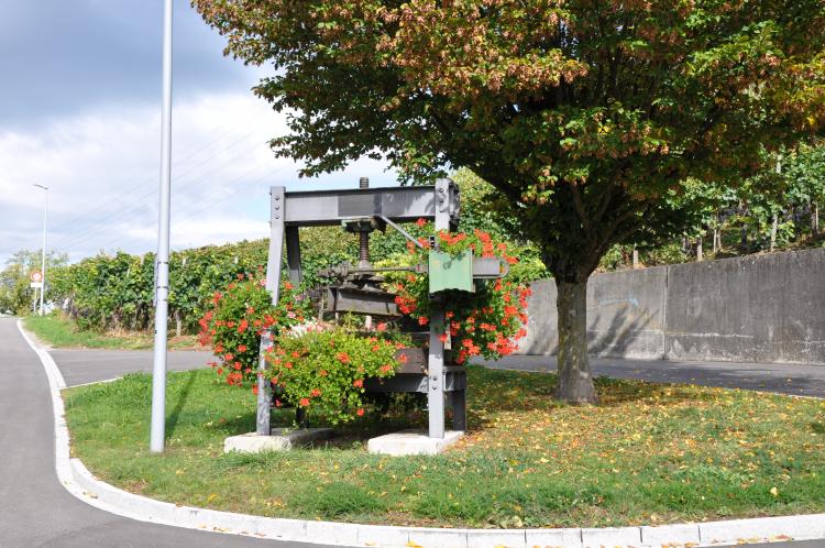 Weinpresse Rebbaugenossenschaft Oberembrach2