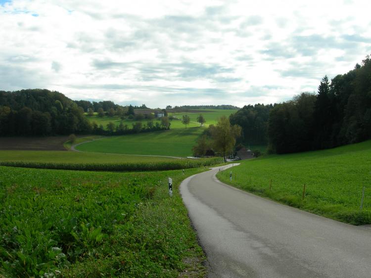 Trinenmoosstrasse