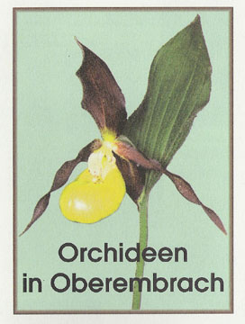 Prospekt Orchideen