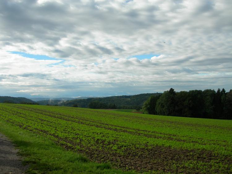 Weitsicht3