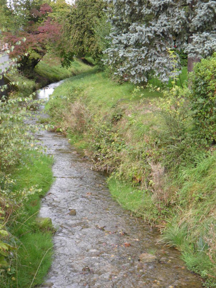 Wildbach2