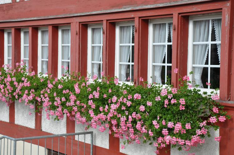 Riegelfassade mit Geranien