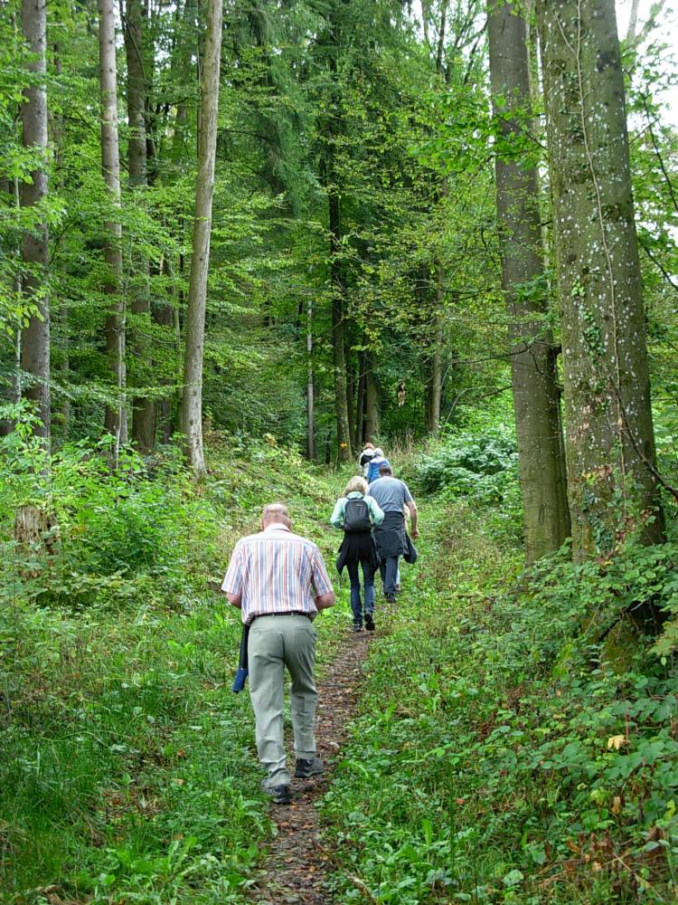 Bannumgangteilnehmer im Wald