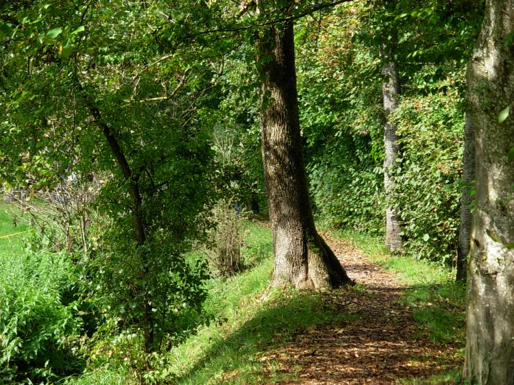 Wanderweg