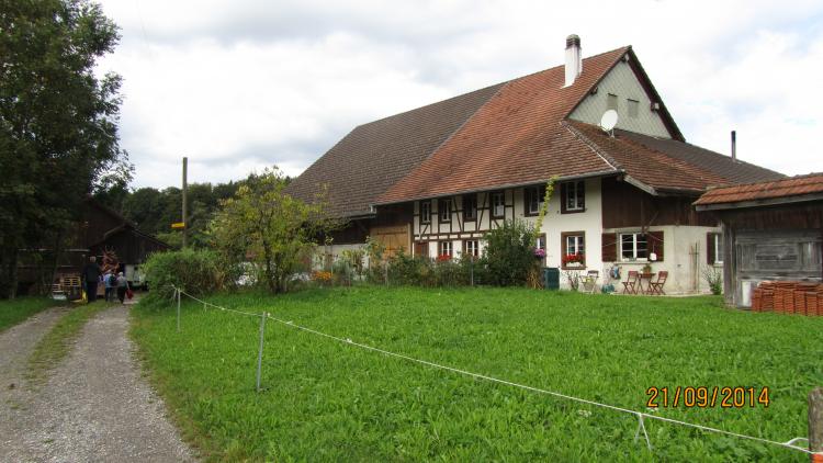 Rothenfluh3