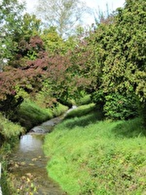 Wildbach