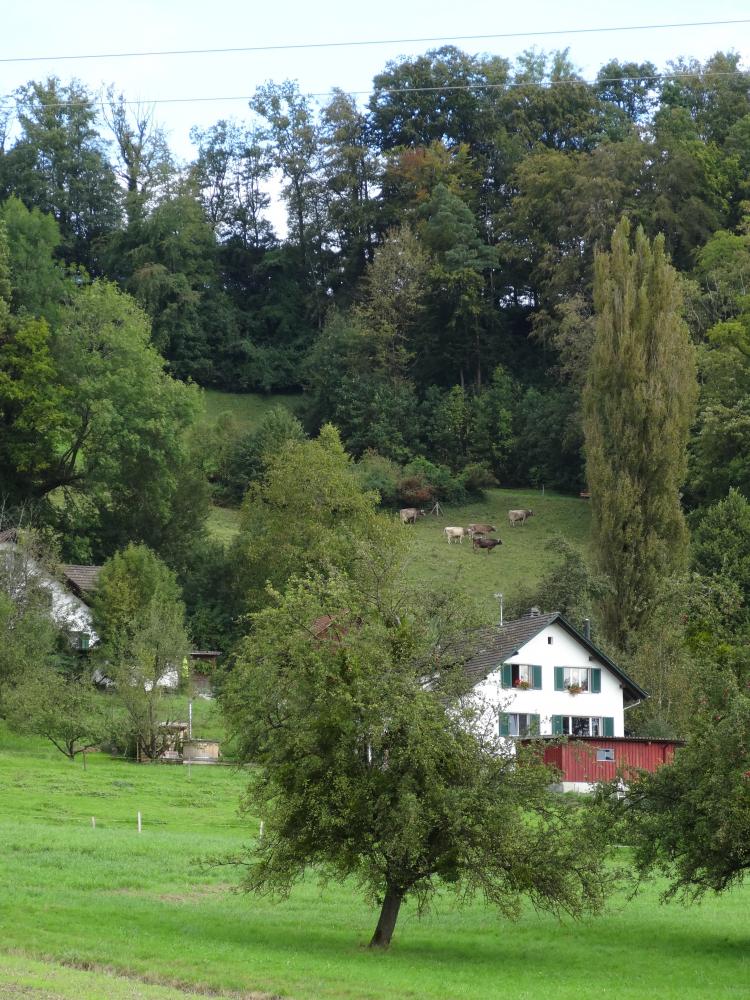 Sonnenberg