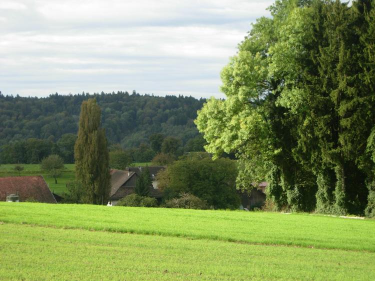 Weiler