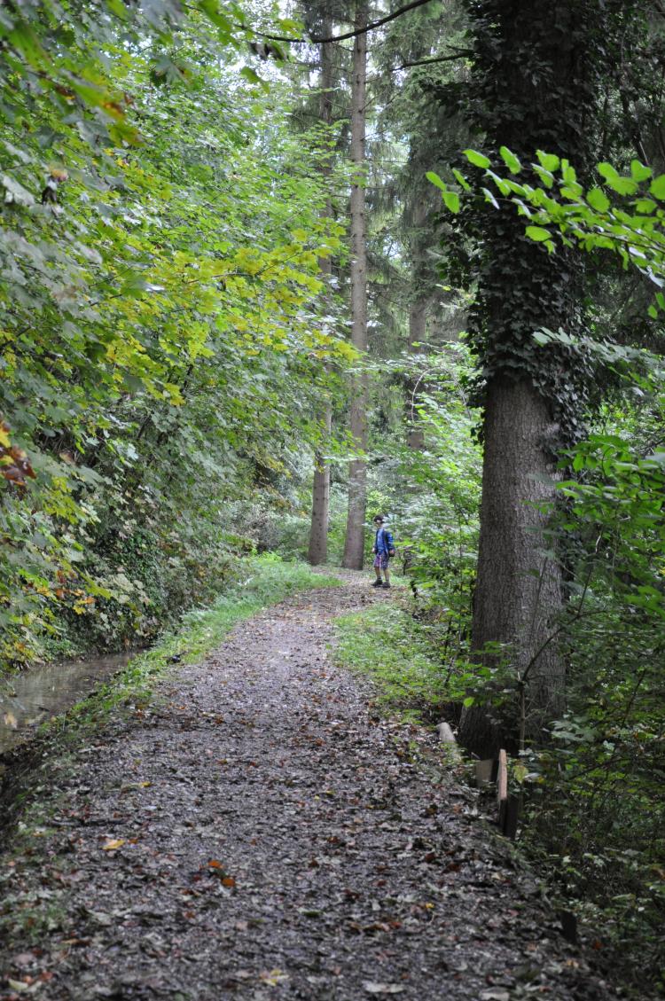 Wanderweg2