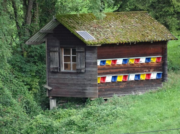 Bienenhaus