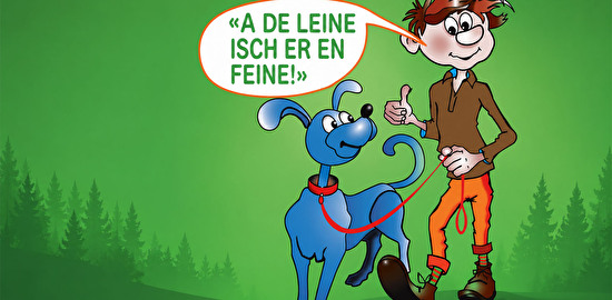 Leinenpflicht