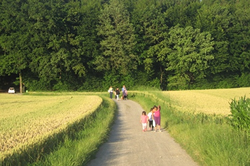 Waldspielgruppe Tannezapfe Im Cocobello