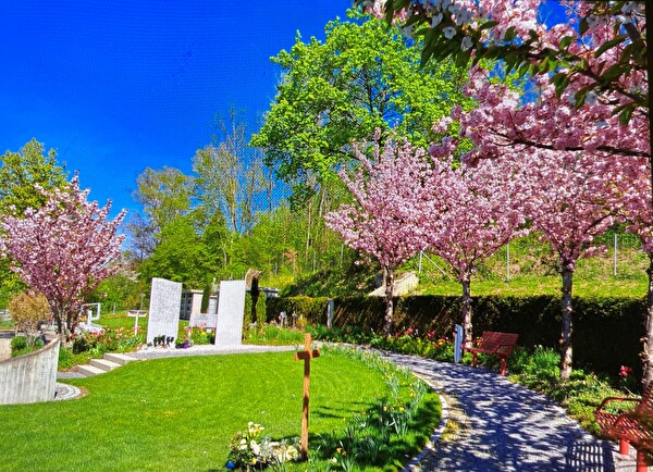 Friedhof Wangen-Brüttisellen