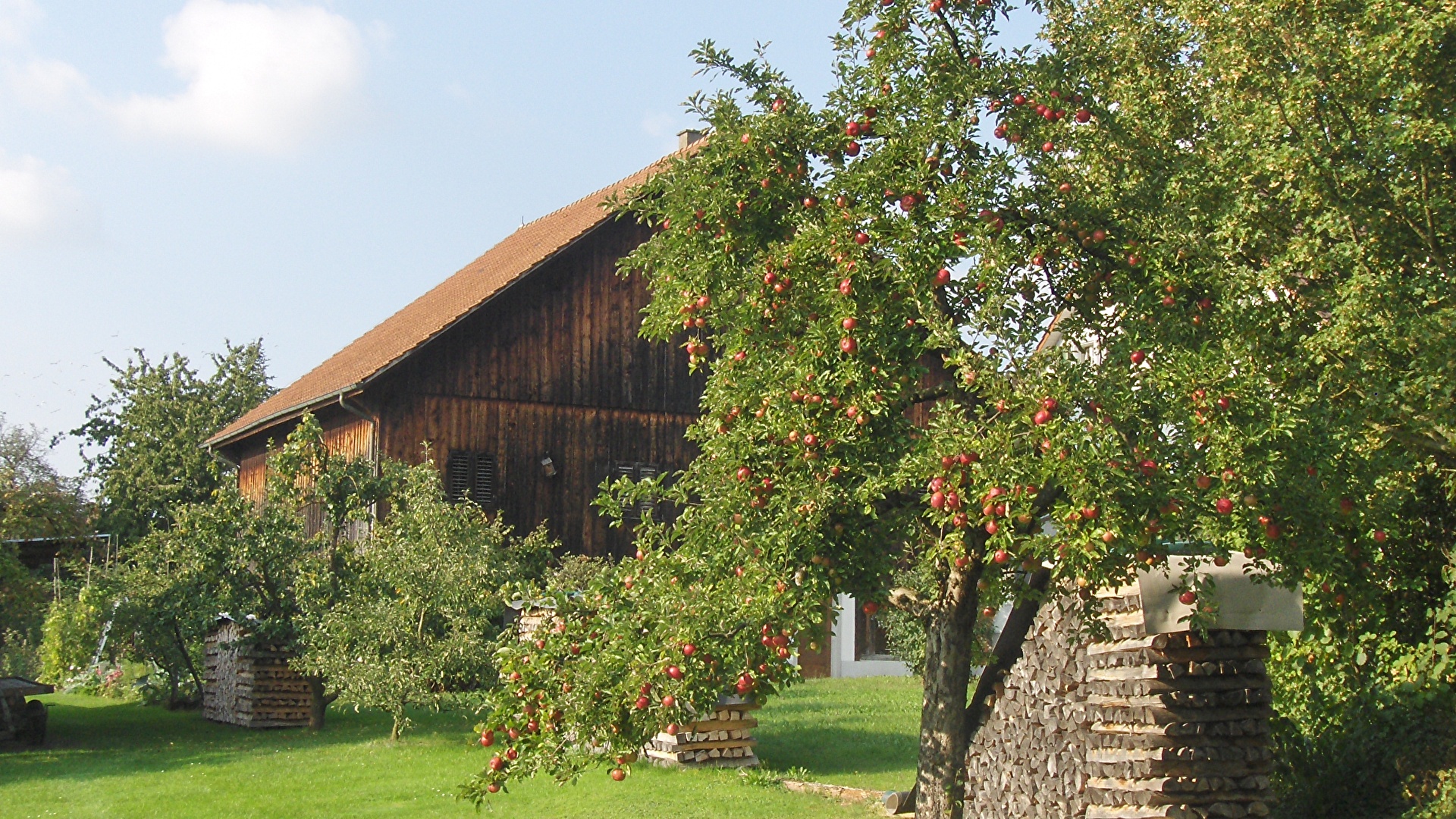 Apfelbaum