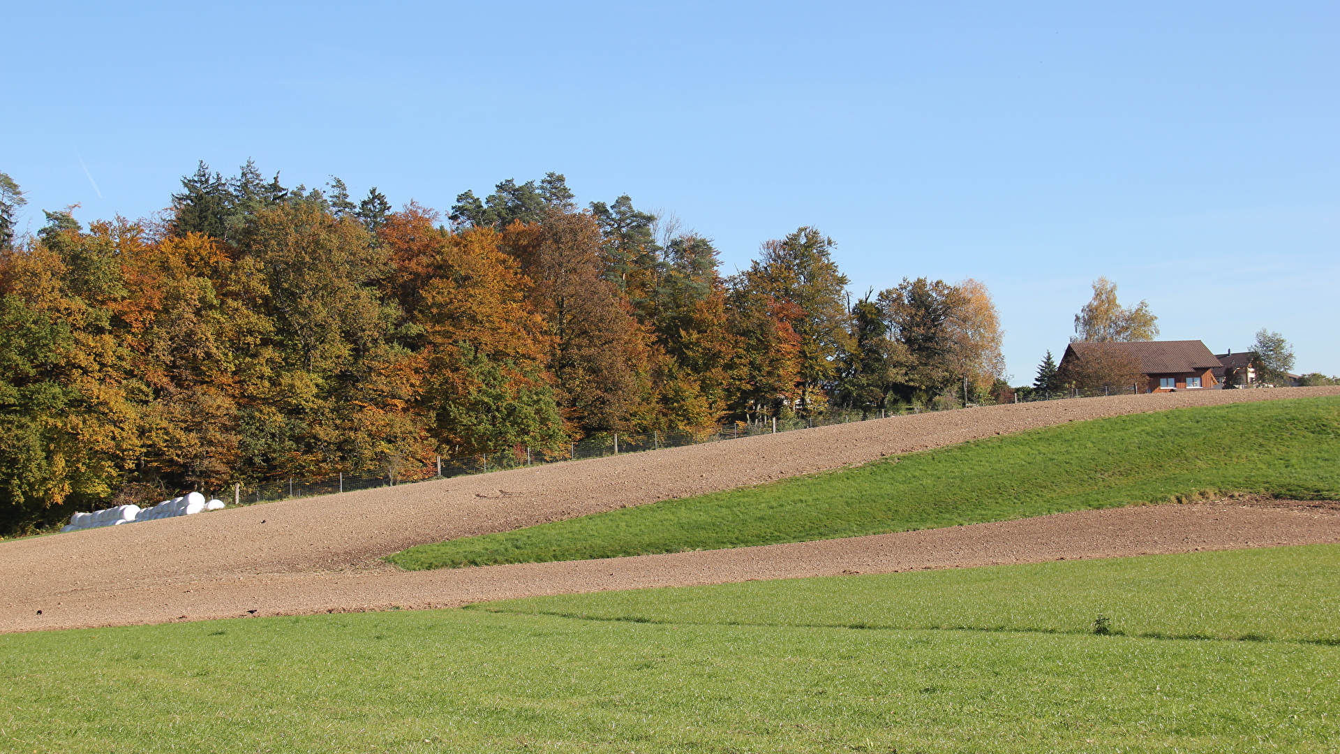 Landwirtschaft1