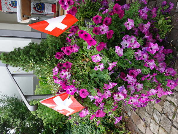 Bundesfeier bei der Kirche in Wangen-Brüttisellen