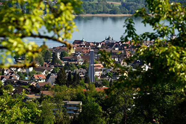 Steckborn