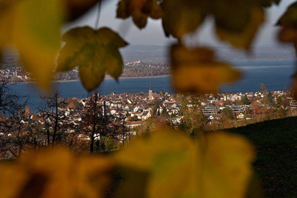 Steckborn